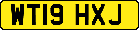 WT19HXJ