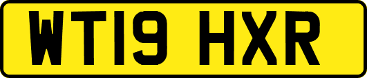 WT19HXR