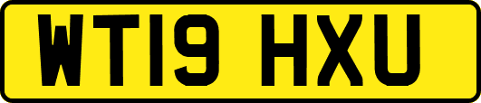 WT19HXU