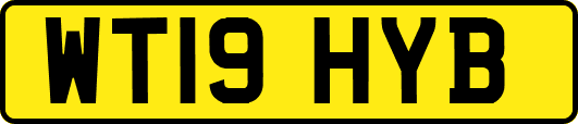 WT19HYB