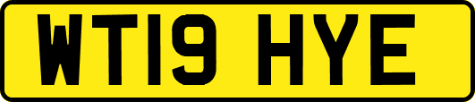 WT19HYE