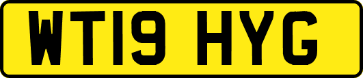 WT19HYG