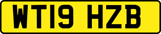 WT19HZB