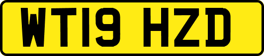 WT19HZD