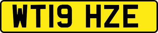 WT19HZE