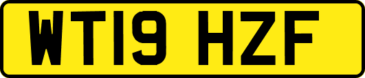 WT19HZF