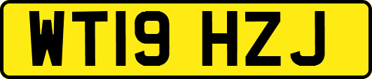 WT19HZJ
