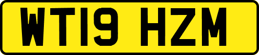 WT19HZM