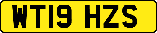 WT19HZS