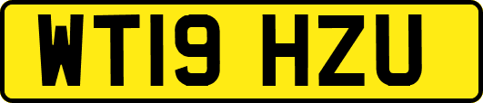 WT19HZU