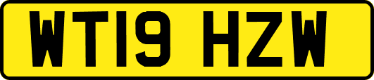 WT19HZW