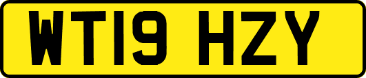 WT19HZY