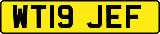 WT19JEF