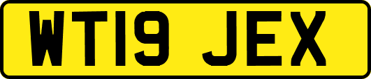WT19JEX