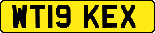 WT19KEX