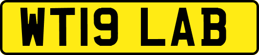 WT19LAB