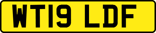 WT19LDF