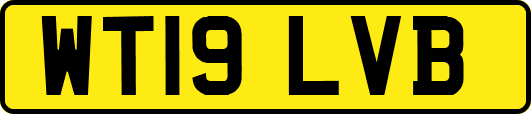 WT19LVB
