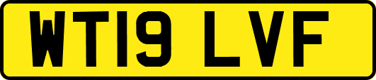 WT19LVF