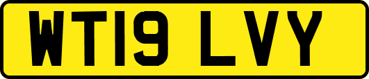 WT19LVY