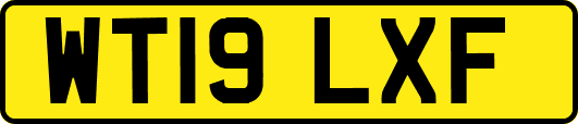 WT19LXF