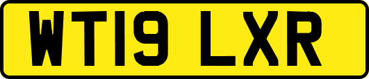 WT19LXR
