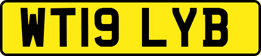 WT19LYB