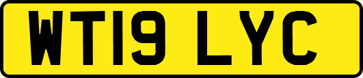 WT19LYC