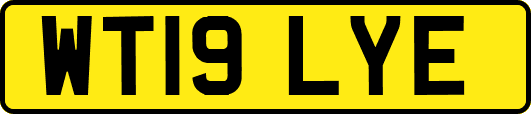 WT19LYE