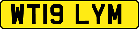 WT19LYM