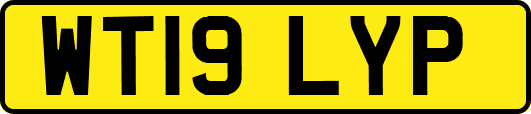 WT19LYP
