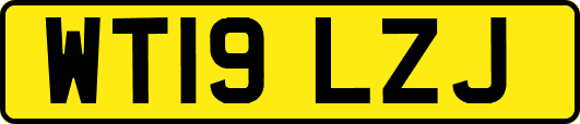 WT19LZJ