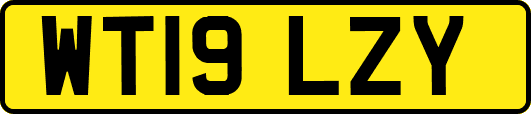WT19LZY