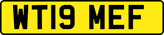 WT19MEF