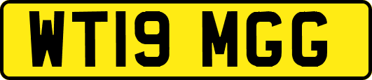 WT19MGG