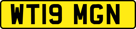 WT19MGN