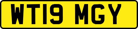 WT19MGY