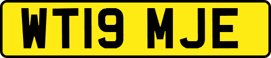WT19MJE