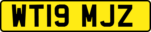 WT19MJZ