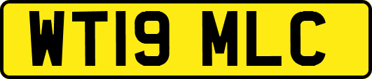 WT19MLC
