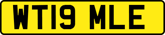 WT19MLE
