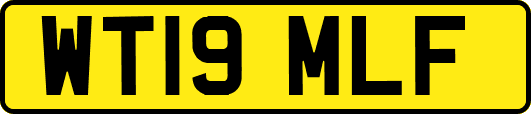 WT19MLF