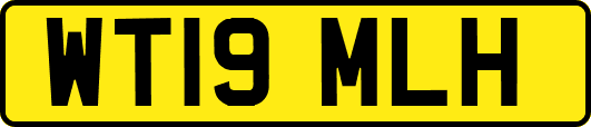 WT19MLH