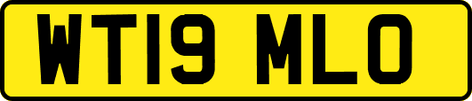WT19MLO