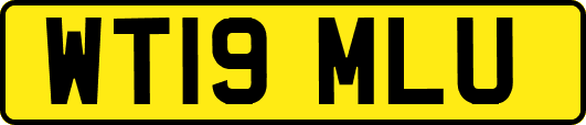 WT19MLU