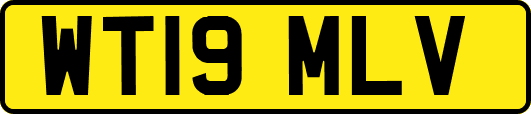 WT19MLV