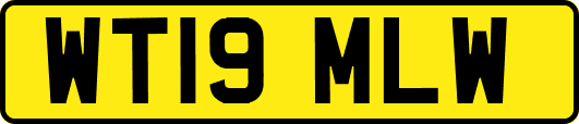 WT19MLW