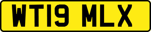 WT19MLX