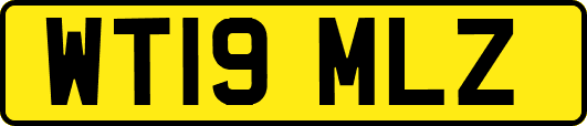 WT19MLZ