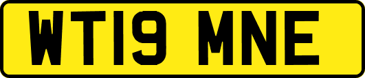 WT19MNE